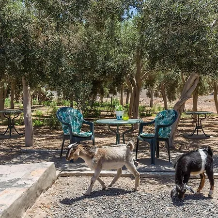 Elysium Olival Only Adults Apartamento *