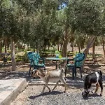Elysium Olival Only Adults Appartement El Charco (Las Palmas)