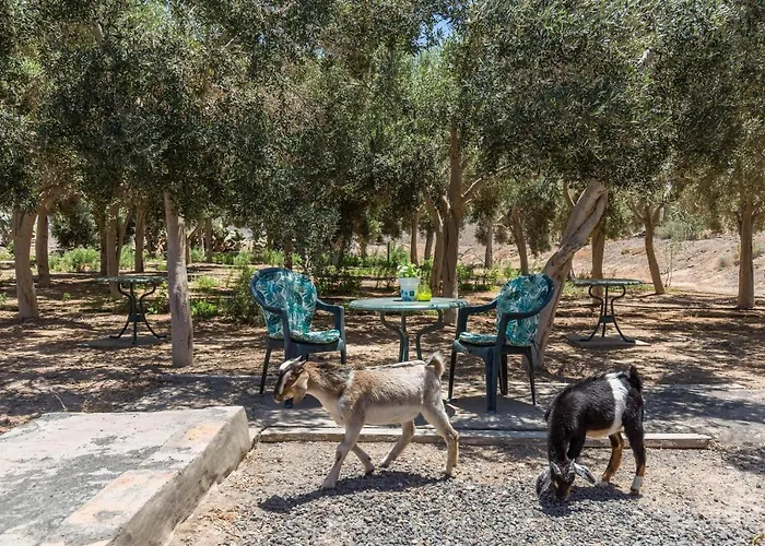 Elysium Olival Only Adults Apartment *